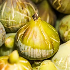 BellyFlush Supplement